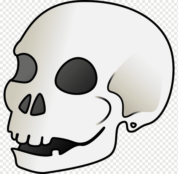 Череп мультяшный