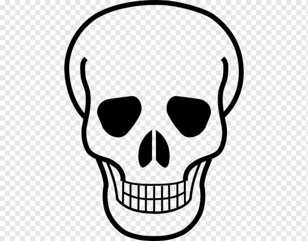 Череп контур