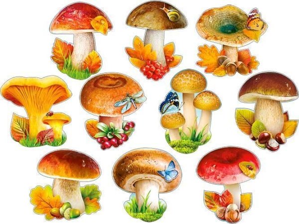 Грибы для детского сада