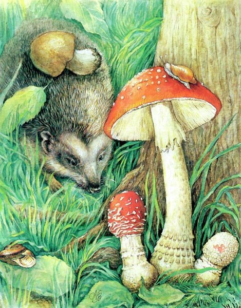 Грибной лес живопись