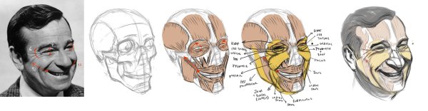 Мышцы головы вид спереди