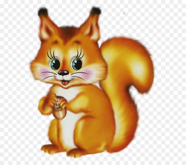 Белка для детей дошкольного возраста