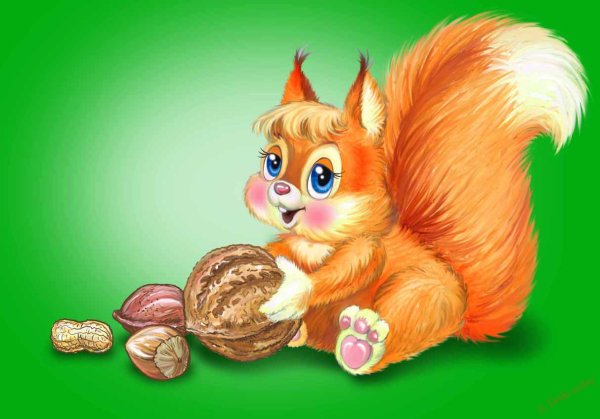 Белка для детей