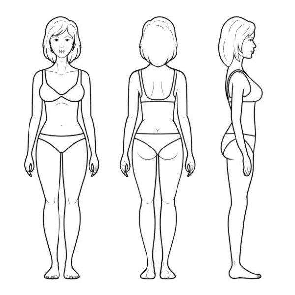 Женская фигура схематично