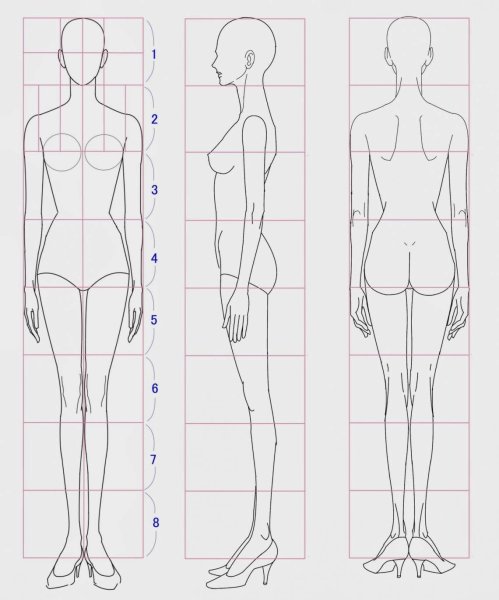Пропорции женского тела для рисования
