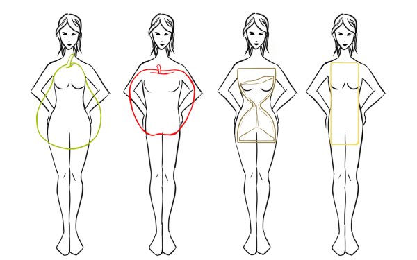 Пропорции женской фигуры