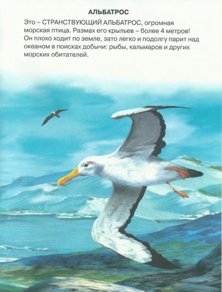 Альбатрос книга