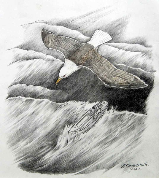 Буревестник рисунок