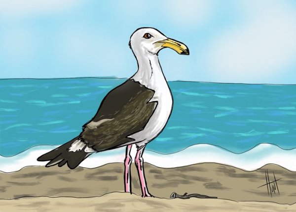 Чайки нарисованные