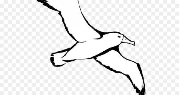 Трафарет Чайки