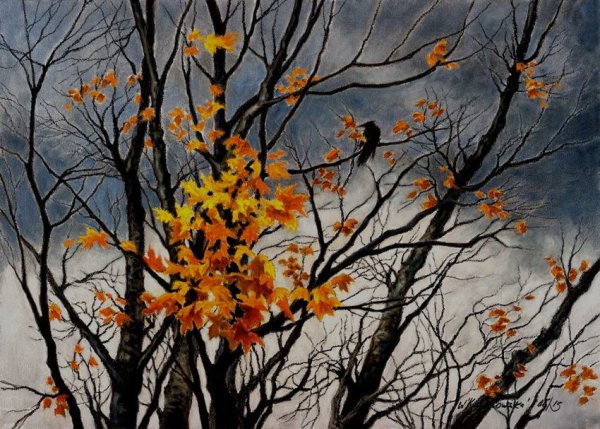 Деревья с облетевшей листвой