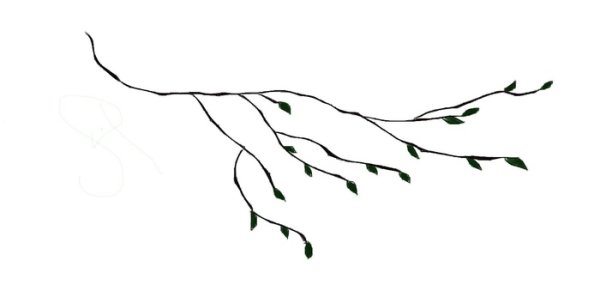 Веточка дерева для рисования