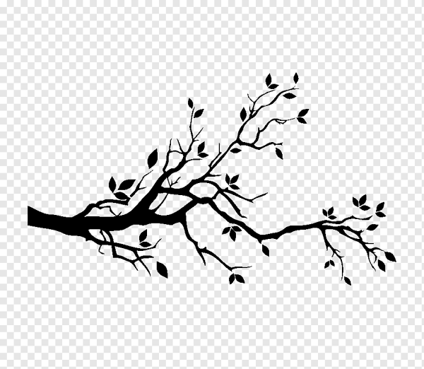 Ветка дерева силуэт