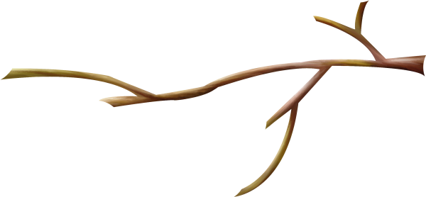 Ветка на прозрачном фоне