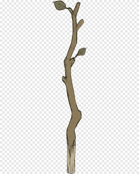 Ветка без фона