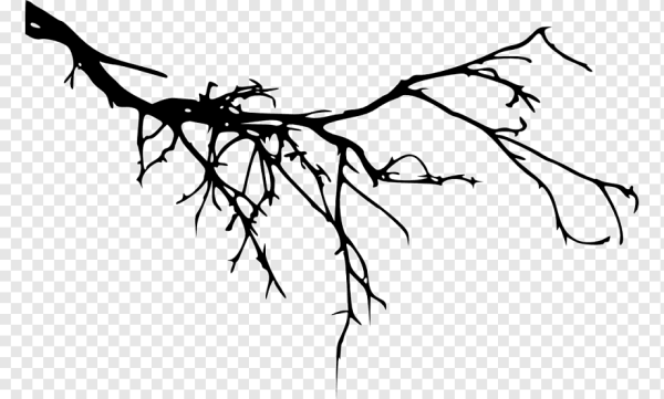 Ветка дерева силуэт