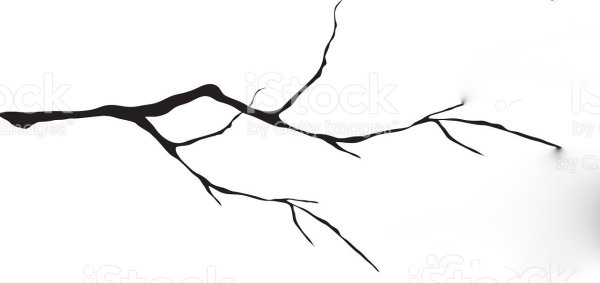 Ветка дерева эскиз