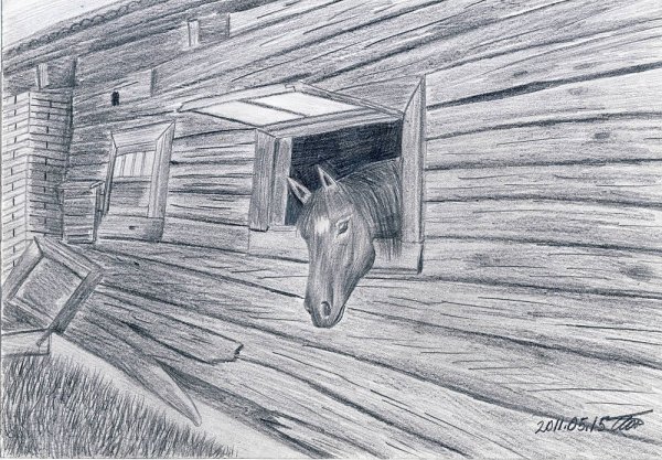 Раскраска лошади в конюшне