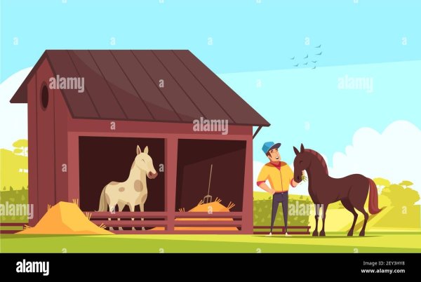 Раскраска лошади в конюшне