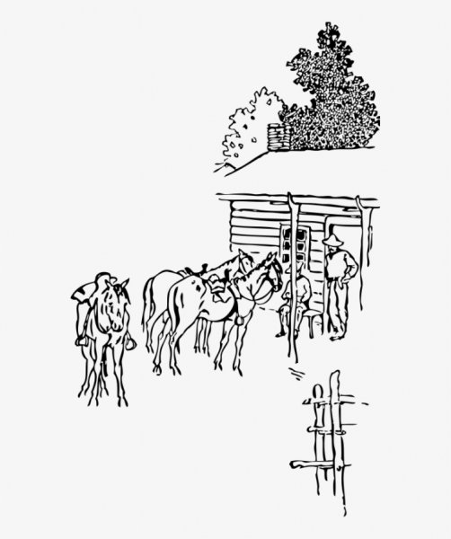 Раскраски для девочек лошади