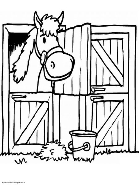 Раскраска лошадь в загоне