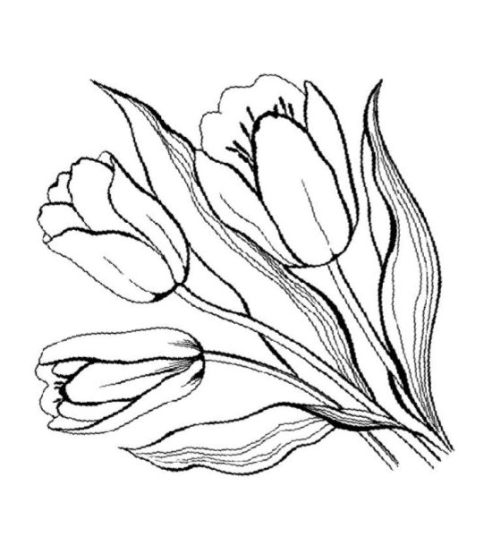 Цветы. Раскраска