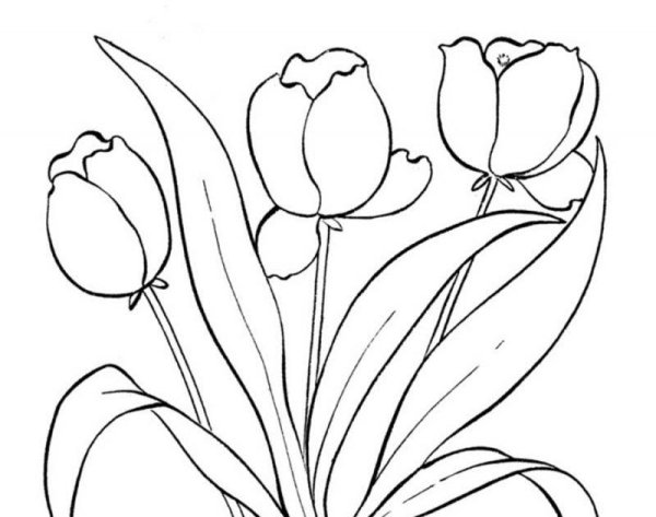 Цветы гуашью для начинающих