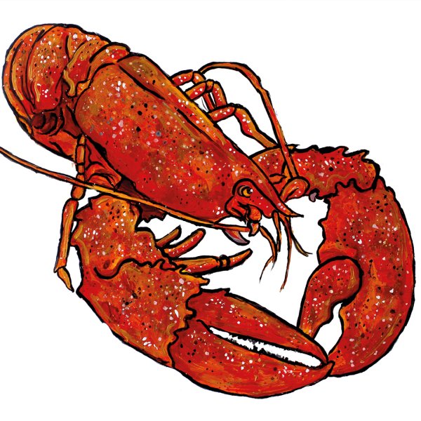 Лобстер стилизованный