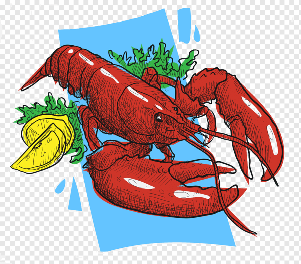 Ракообразные на белом фоне