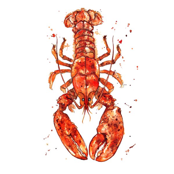Лобстер нарисованный