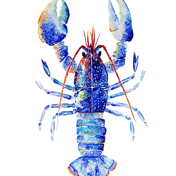 Лобстер нарисованный