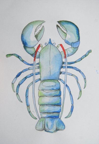 Злой лобстер