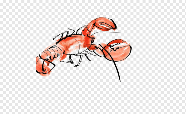 Рачки вектор