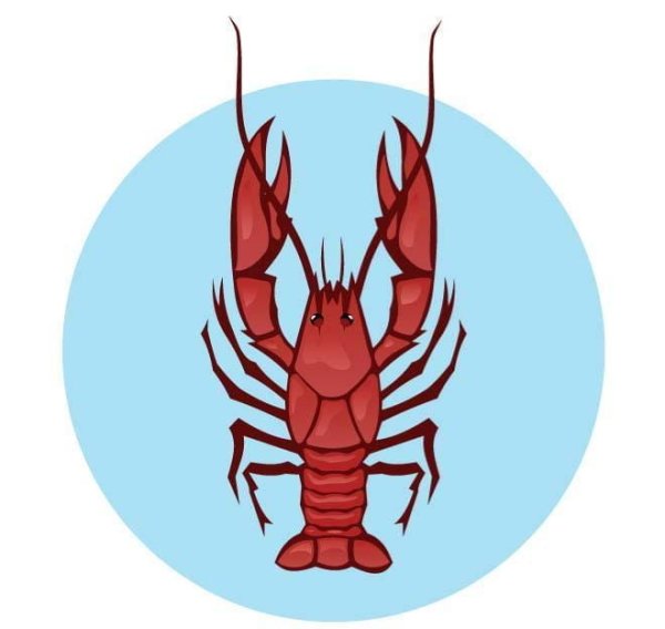 Рисунок с акварелью «рака »