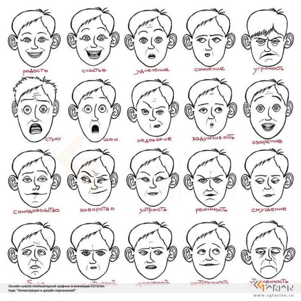 Схема мимики лица человека
