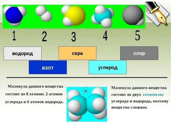 Молекулярные соединения хлора. Углерод водород кислород и азот. Молекула азота из атомов. Строение простого вещества азота. Молекула кислорода состоит из двух атомов.