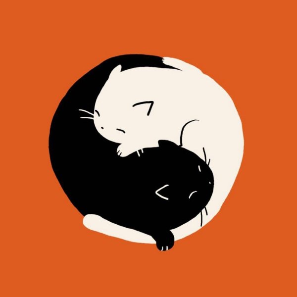 Кот Минимализм