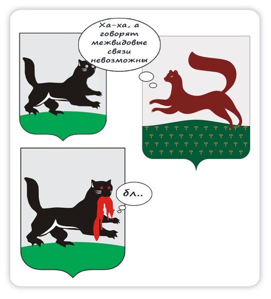 Бабр Иркутск рисунок