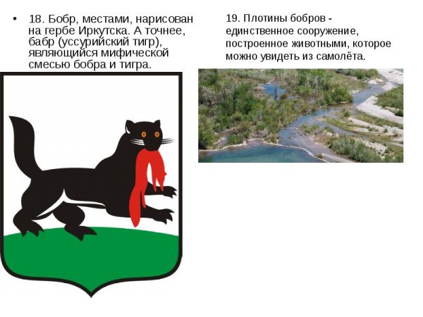 Иркутский Бабр герб