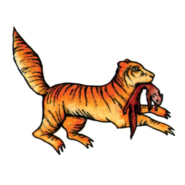 Бабр животное нарисованное