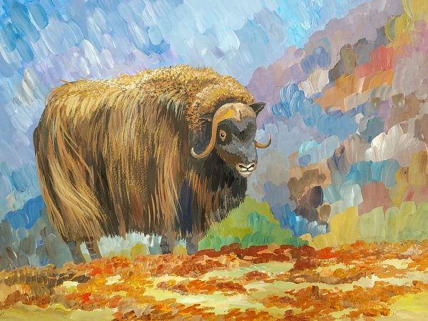 Овцебык живопись