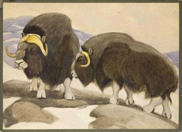 Ватагин Василий Алексеевич ЗУБР