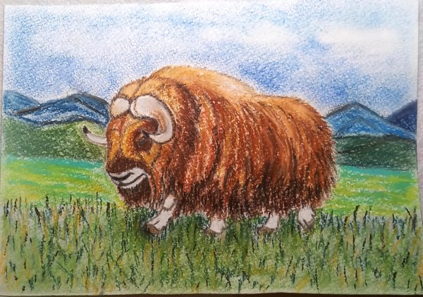 Доисторический овцебык