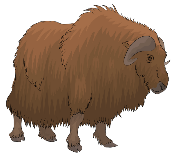 Як для детей