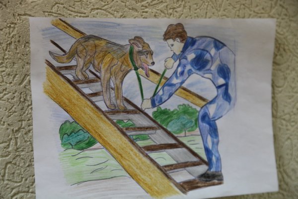 Рисунок профессии кинолог на конкурс