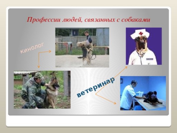 Профессии связанные с собаками