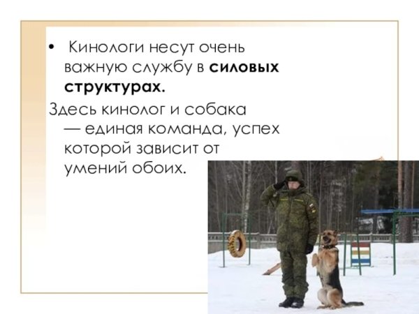 Раскраски служебные собаки