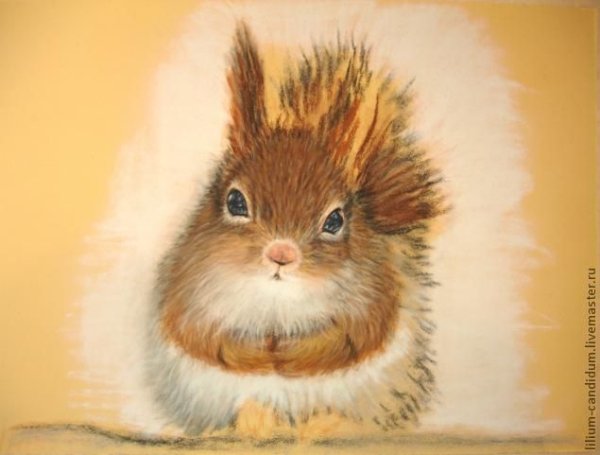 Пушистые животные пастелью