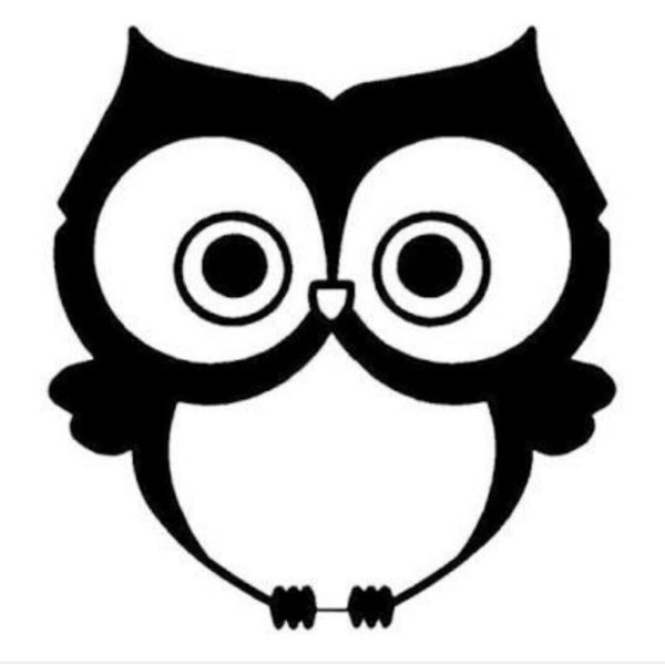 Сова контур