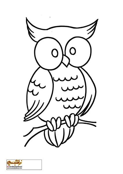 Сова контур